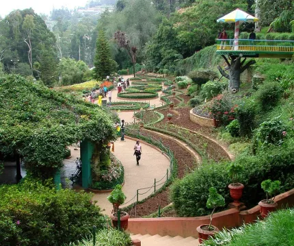 960px-Botanical_Gardens_-_Ootacamund_(Ooty)_-_India_03